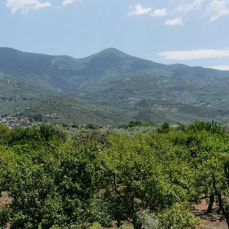 Feriehus Karavos Grove Káto Lekhónia