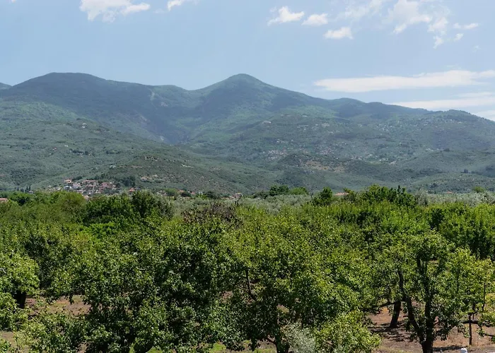 度假居 Karavos Grove Káto Lekhónia